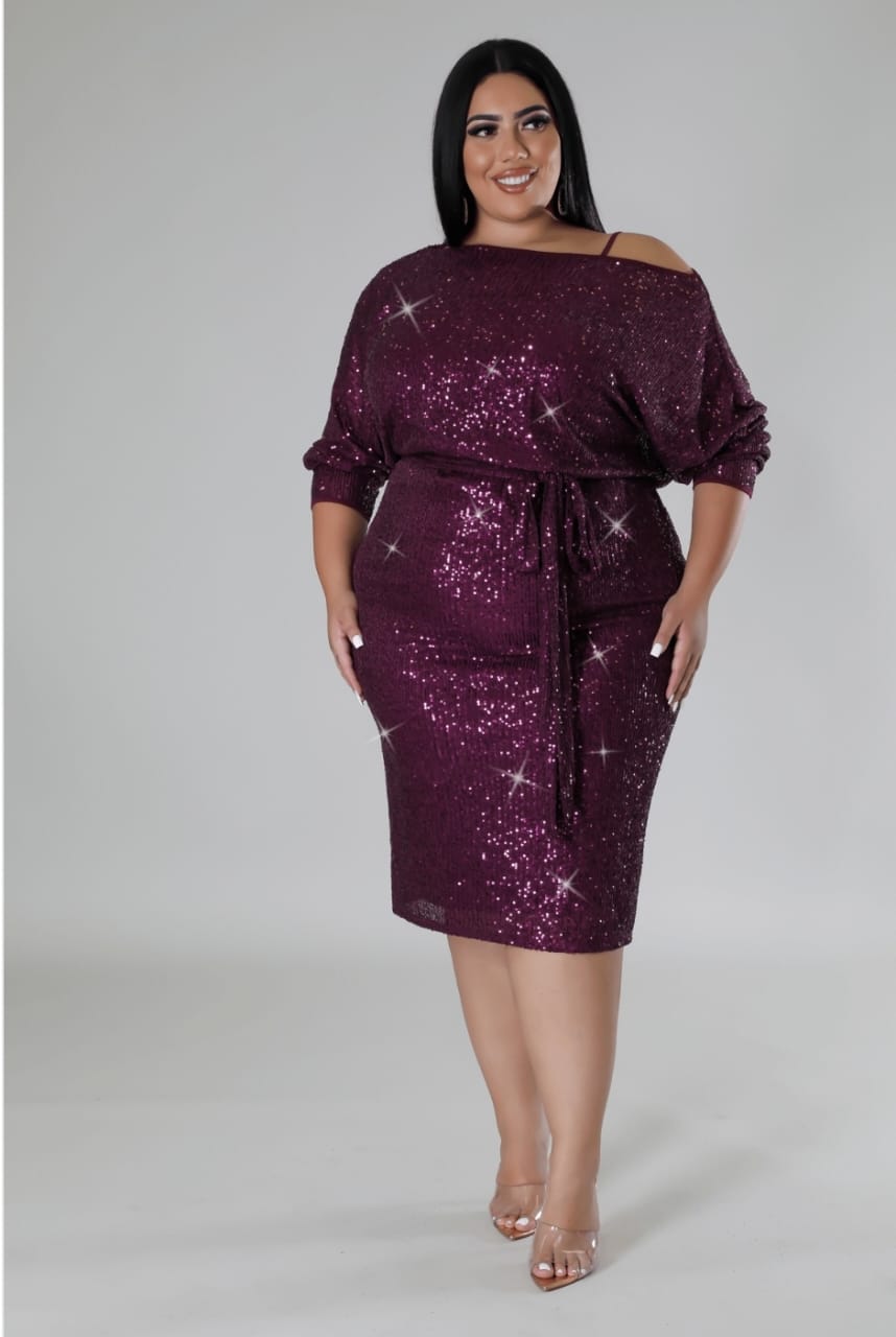 Fine Like Wine Sequin Dress