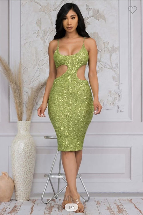 Fitted Sparkly Dress Posh Boutique Fitted Sparkly Dress Posh Boutique